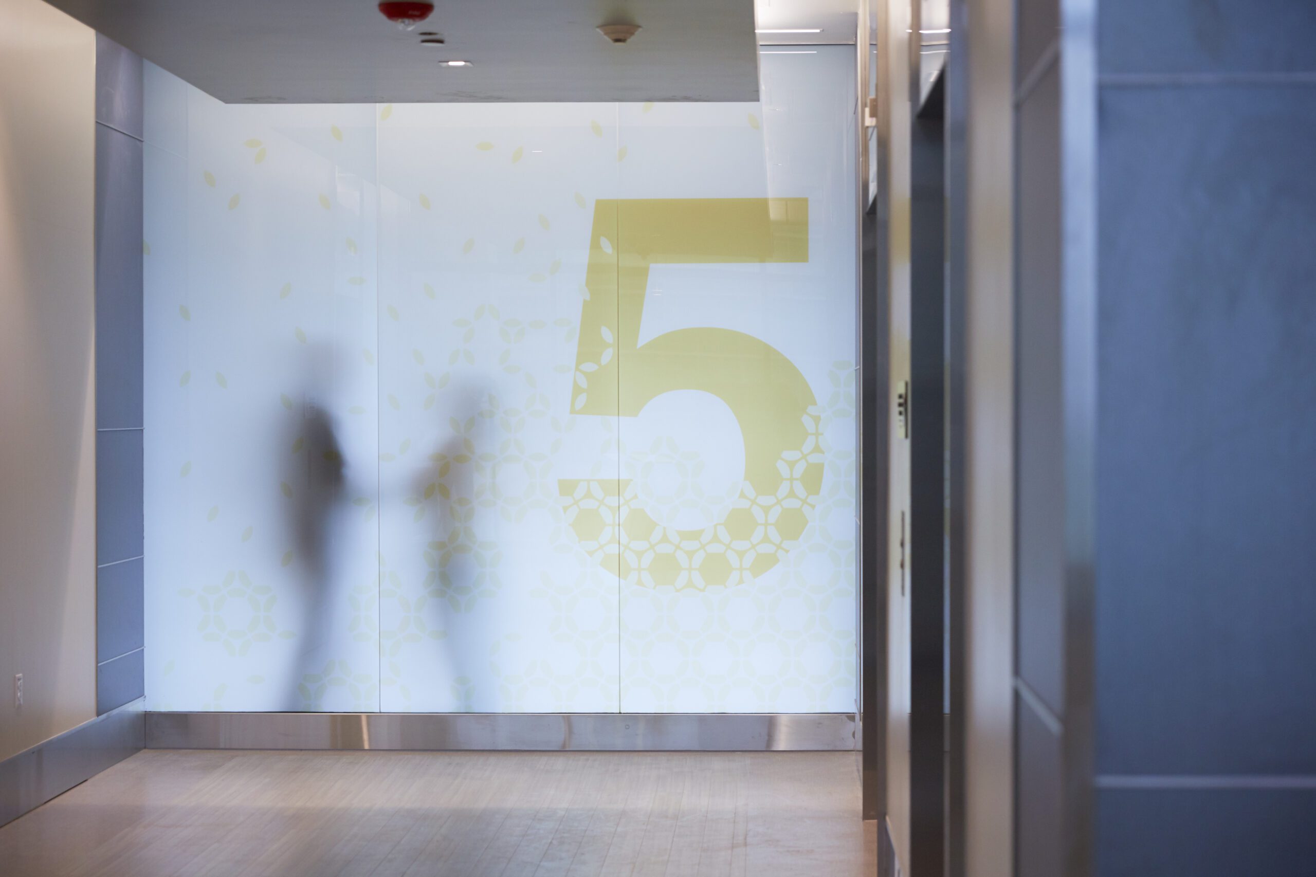 Custom Graphic Glass Wall